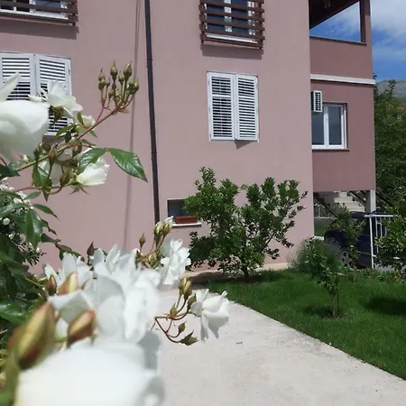 Nijona 1 4* トレビニエ