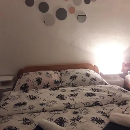 Nijona 1 トレビニエ