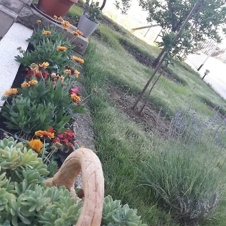 Nijona 1 ゲストハウス