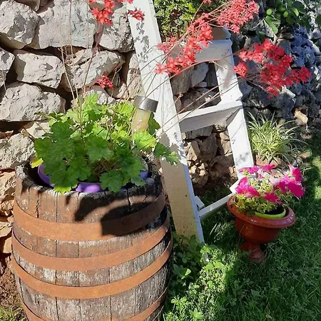 Nijona 1 ゲストハウス トレビニエ