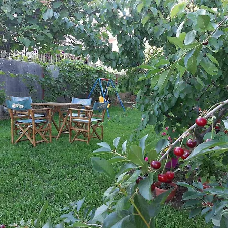 Nijona 1 4* トレビニエ